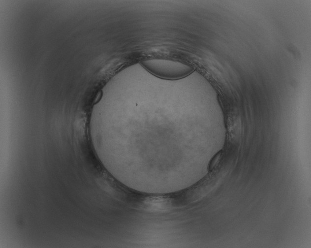 X0000116320231200912291539