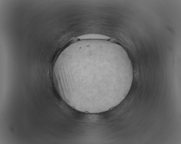 X0000116320233200912291539