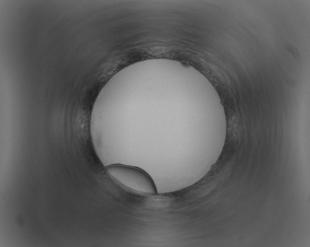 X0000116320234200912291539