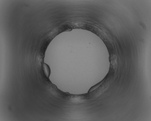 X0000116320235200912291539