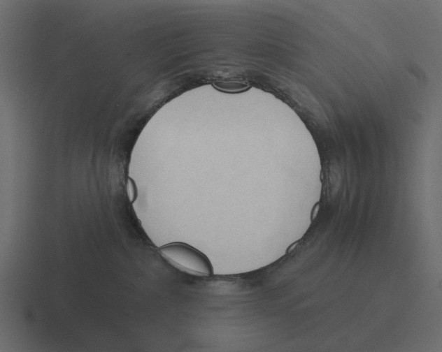 X0000116320236200912291539