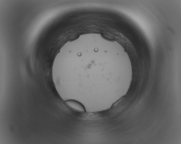 X0000116320239200912291539