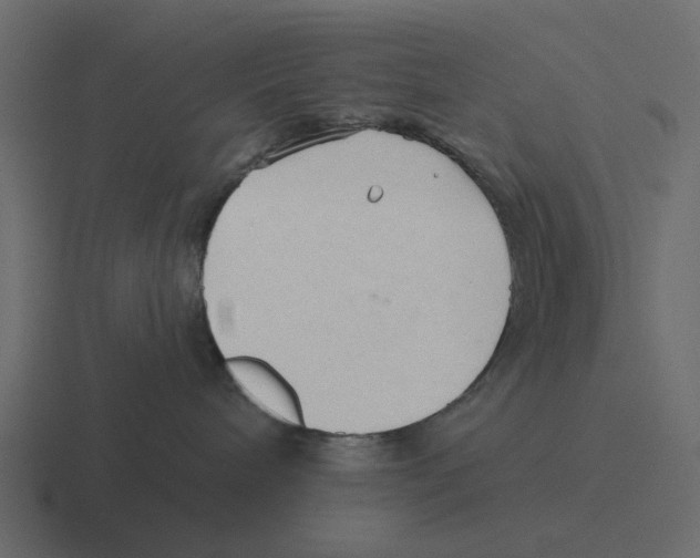 X0000116320240200912291539