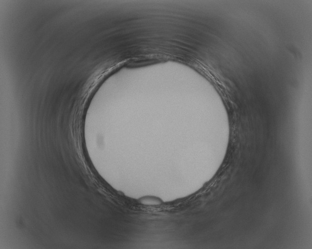 X0000116320241200912291539