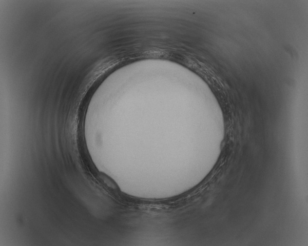 X0000116320242200912291539