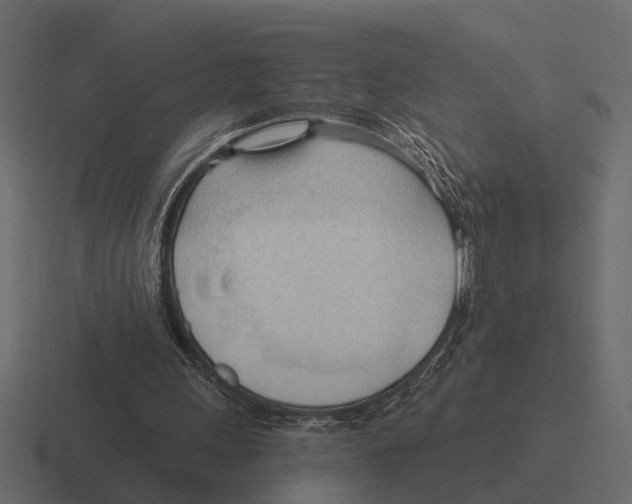 X0000116320243200912291539