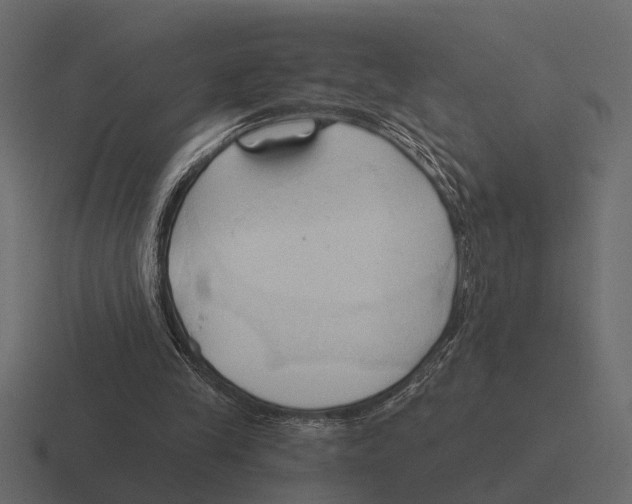 X0000116320245200912291539