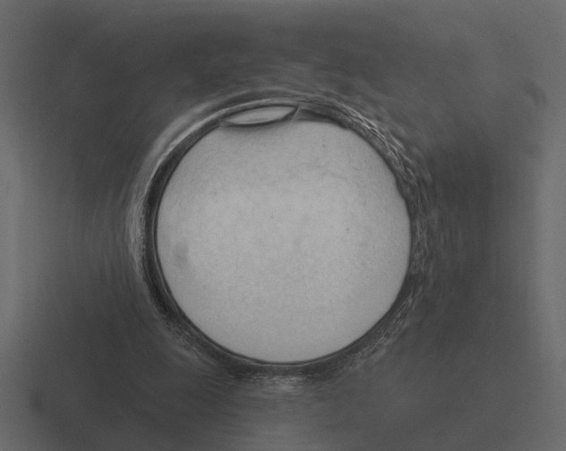 X0000116320247200912291539