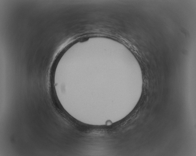 X0000116320248200912291539