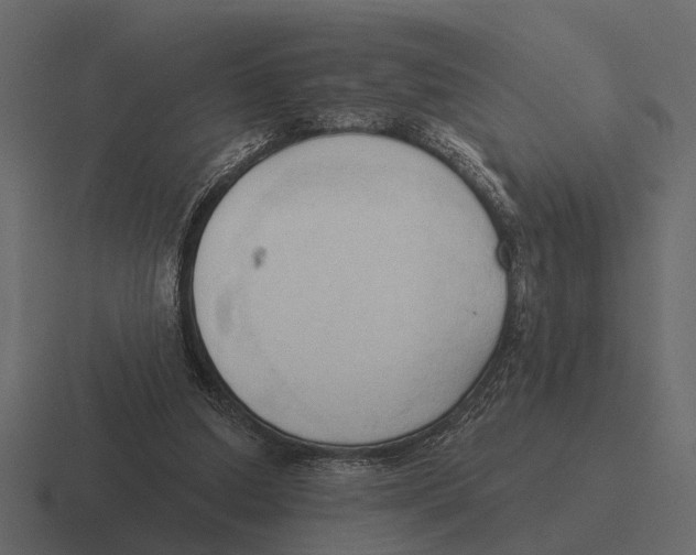 X0000116320250200912291539