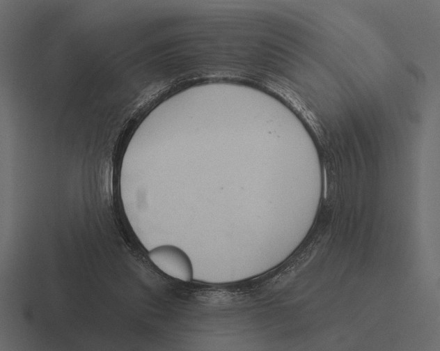 X0000116320253200912291539