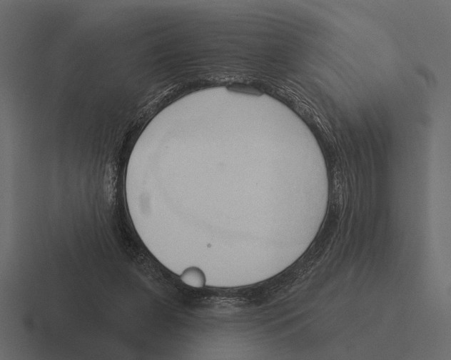 X0000116320255200912291539