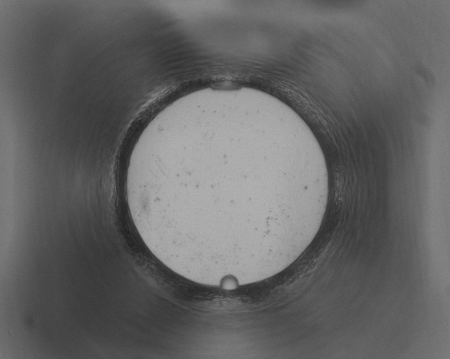 X0000116320256200912291539