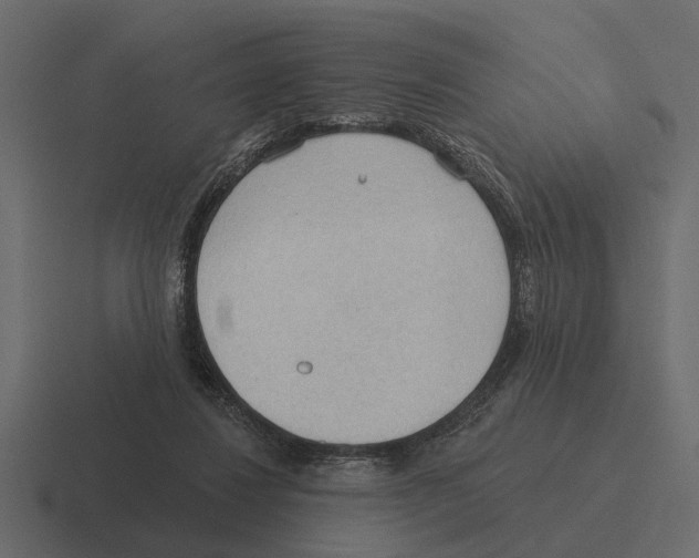 X0000116320260200912291539