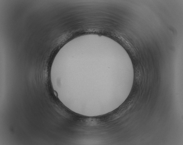 X0000116320261200912291539