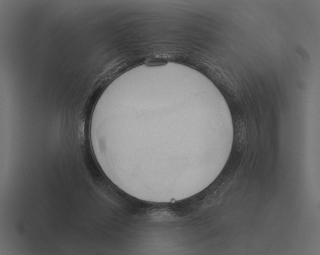 X0000116320262200912291539