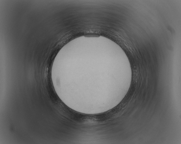 X0000116320263200912291539