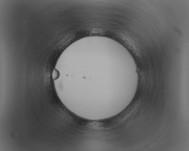 X0000116320269200912291539