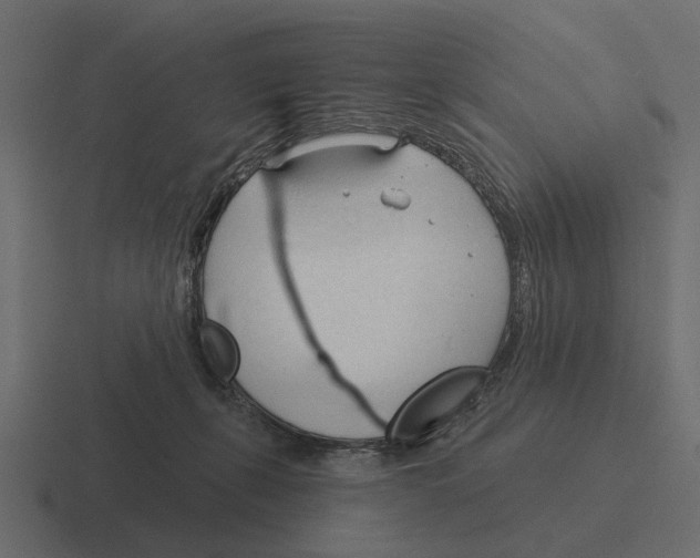 X0000116320271200912291539