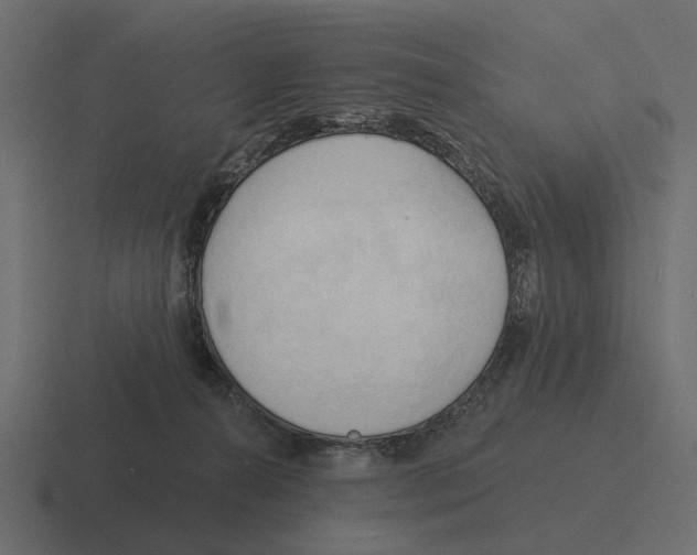 X0000116320272200912291539