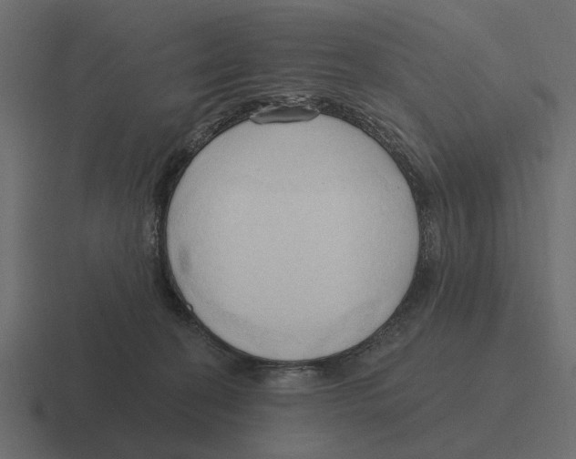 X0000116320274200912291539