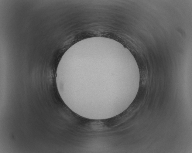 X0000116320279200912291539