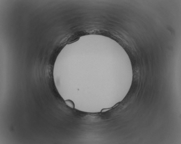 X0000116320280200912291539