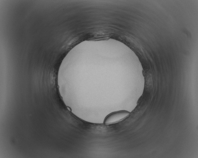 X0000116320282200912291539