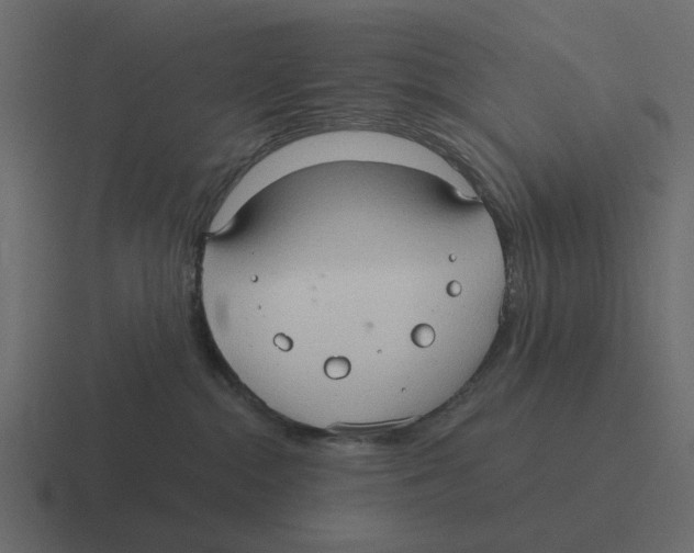 X0000116320284200912291539