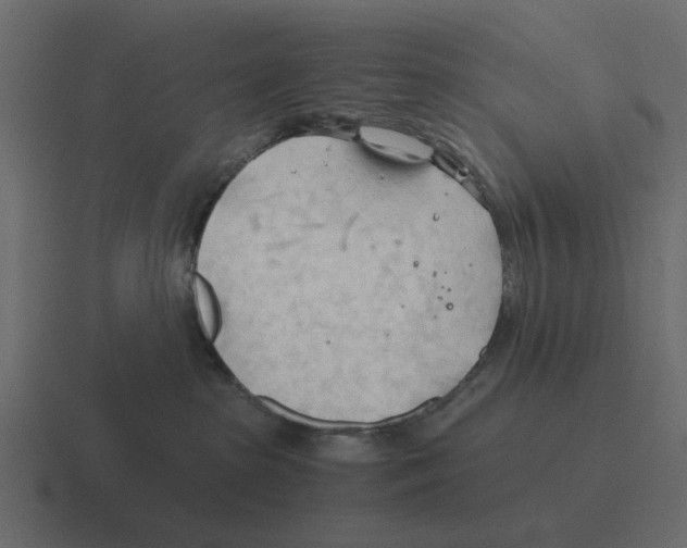 X0000116320285200912291539