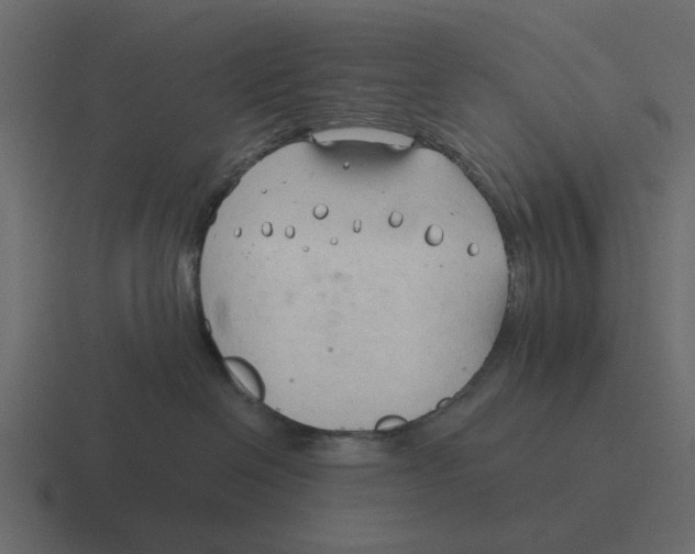 X0000116320286200912291539