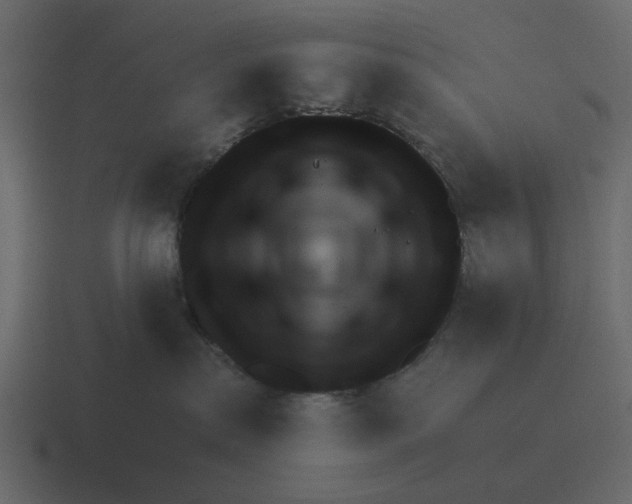 X0000116320287200912291539