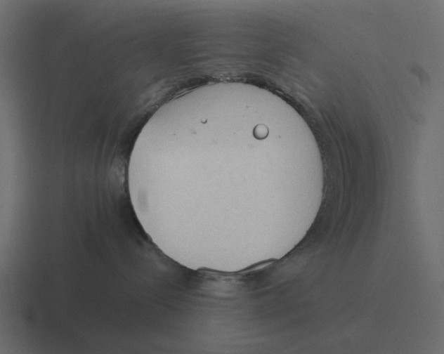 X0000116320288200912291539