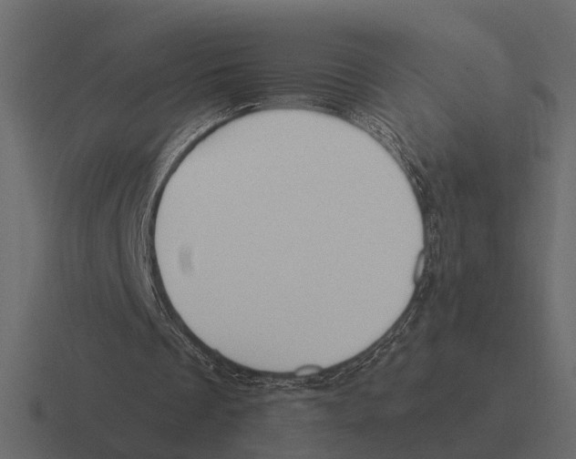 X0000116320289200912291539