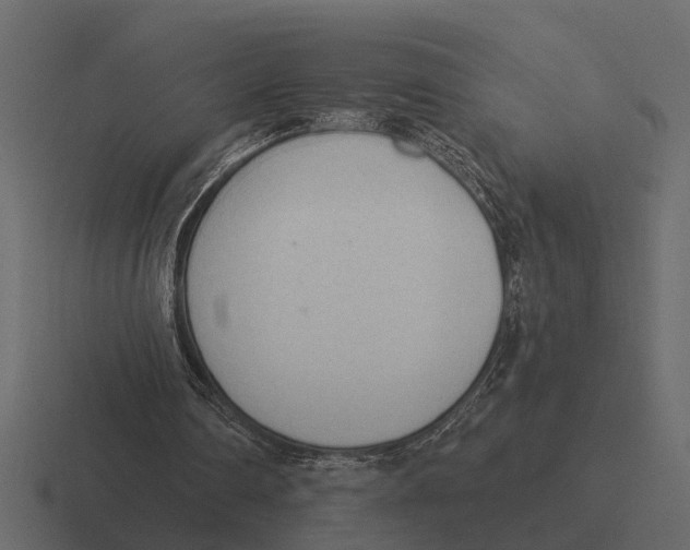 X0000116320290200912291539