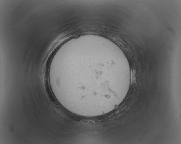 X0000116320291200912291539