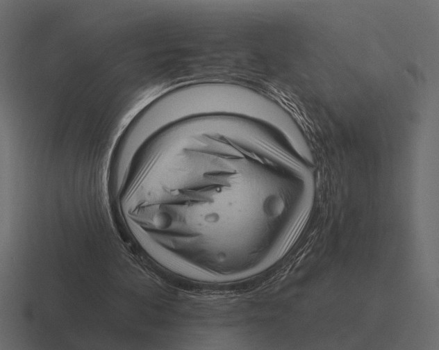 X0000116320292200912291539