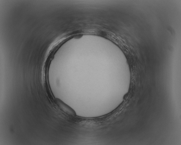 X0000116320294200912291538