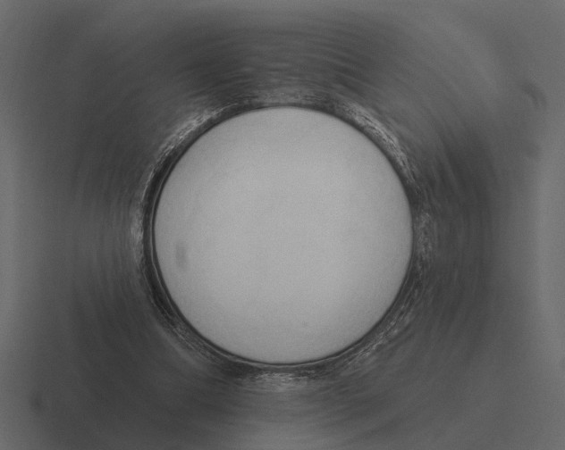 X0000116320298200912291538