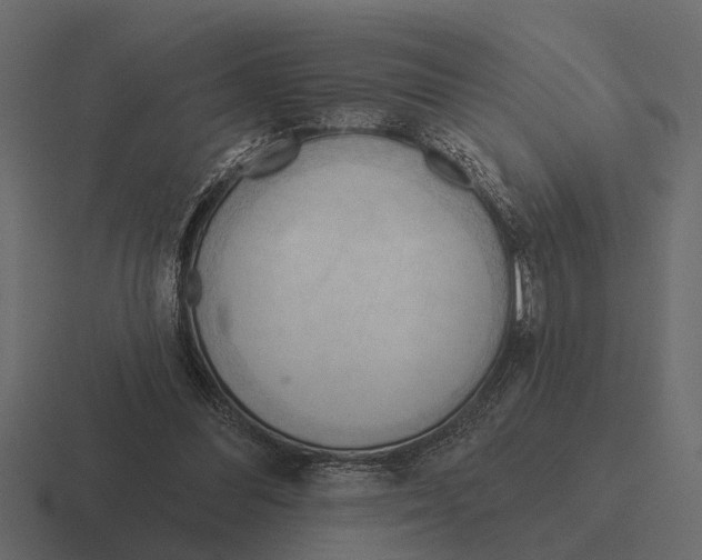 X0000116320300200912291538