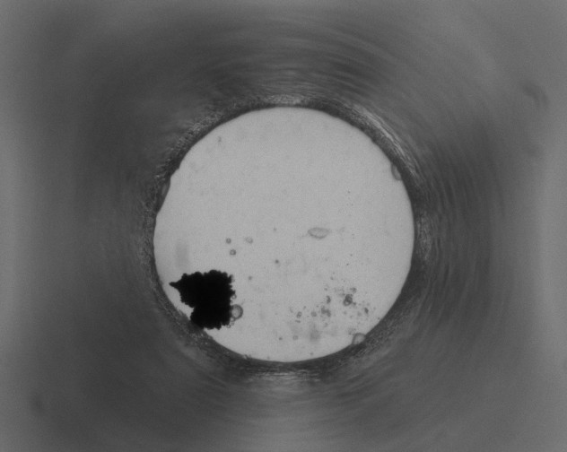 X0000116320307200912291538