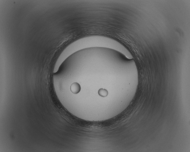 X0000116320308200912291538