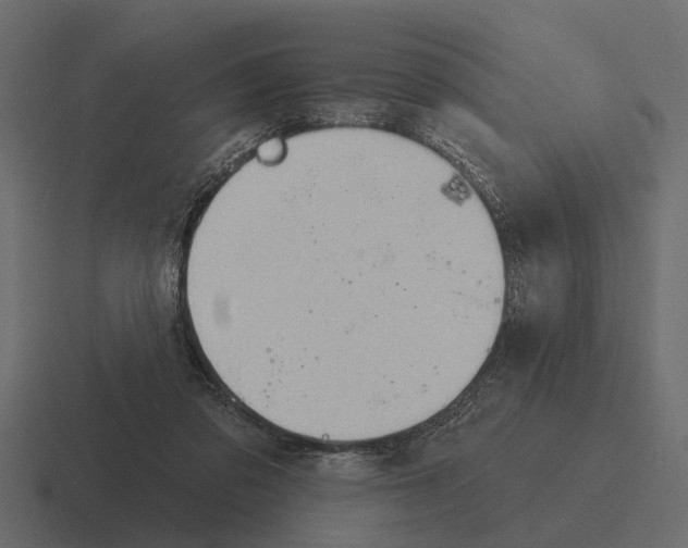 X0000116320309200912291538