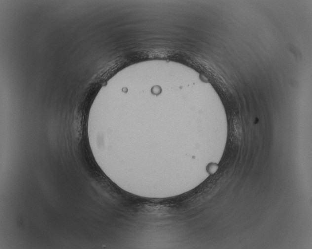 X0000116320311200912291538