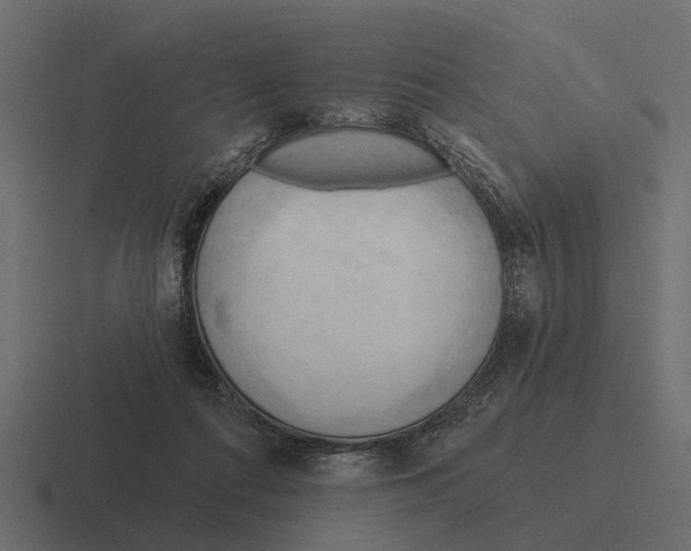 X0000116320312200912291538