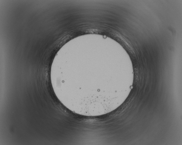 X0000116320313200912291538