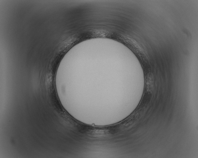 X0000116320314200912291538