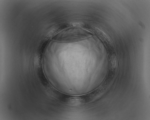 X0000116320316200912291538