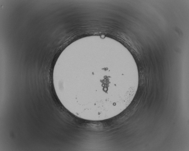 X0000116320317200912291538