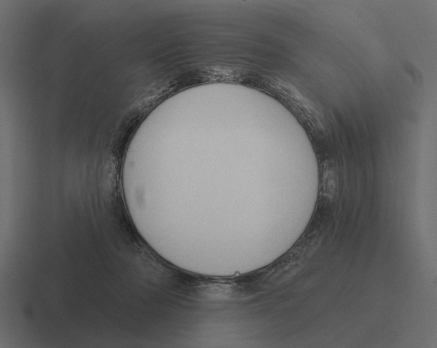 X0000116320318200912291538